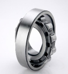 Cylindrical Roller Bearing Poly Cage 95mm x 170mm x 32mm
