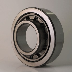 FAG Cylindrical Roller Bearing Poly Cage 80mm x 140mm x 33mm