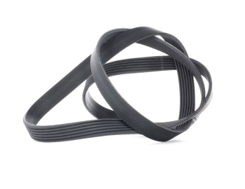 CONTITECH PK Ribbed Belt 730mm (28.74 inches) 12 ribs
